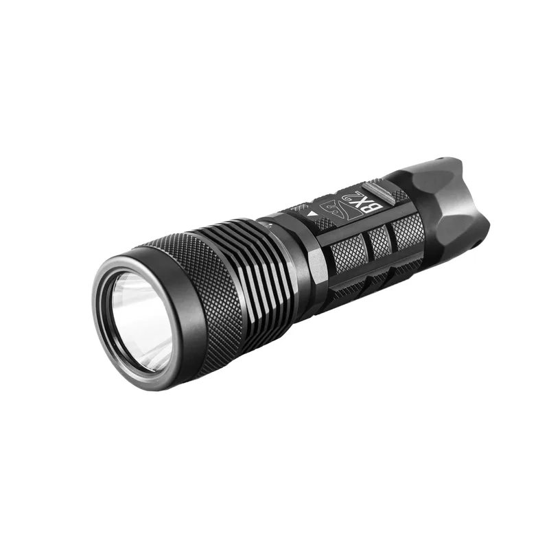 BX2 Handheld Light